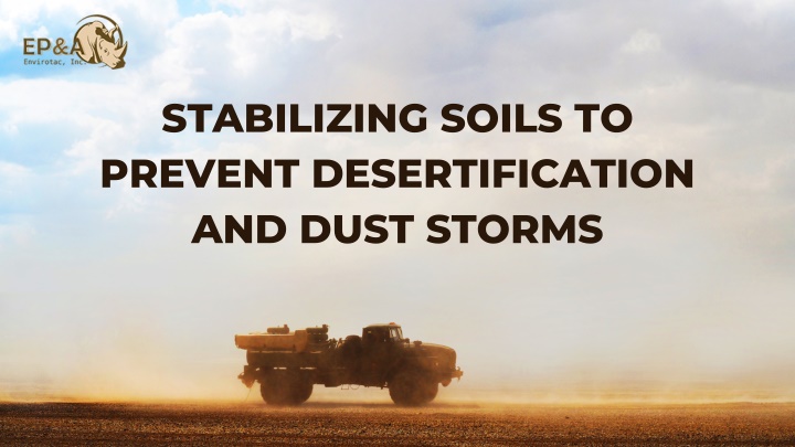 stabilizing soils to prevent desertification