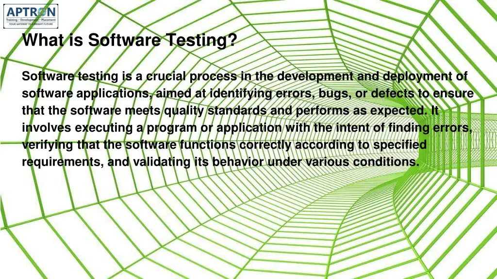 what is software testing