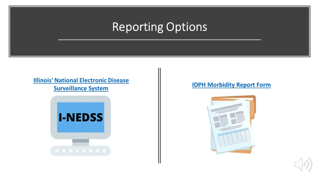 reporting options reporting options