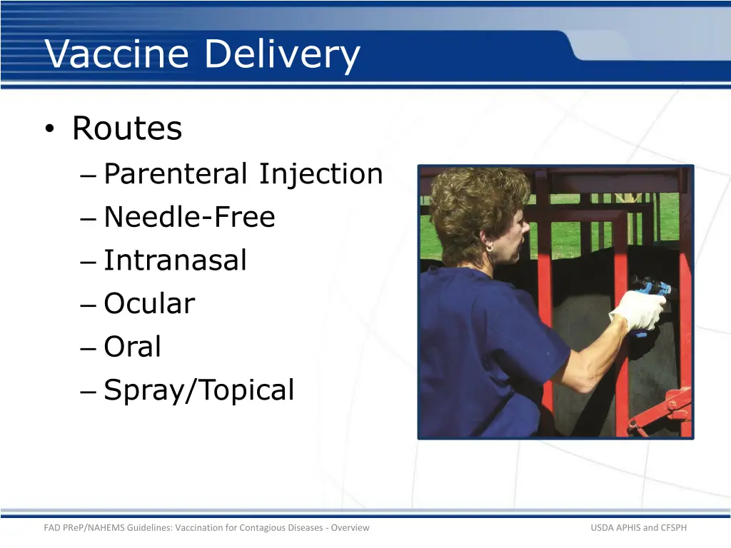 vaccine delivery 1