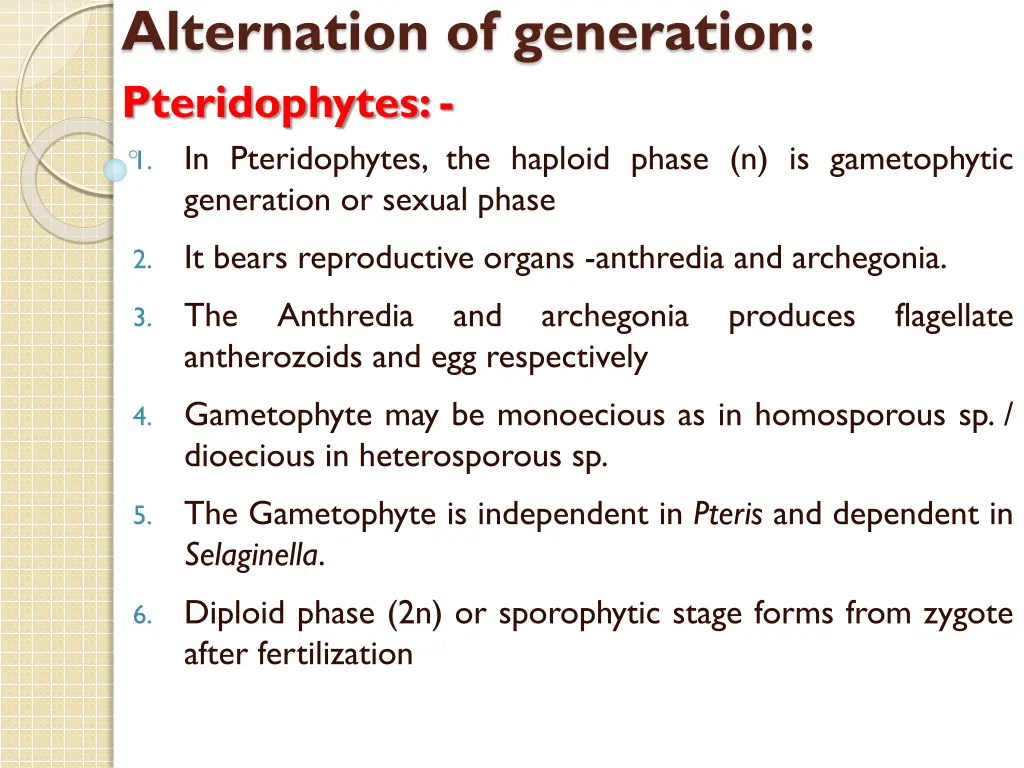 alternation of generation pteridophytes