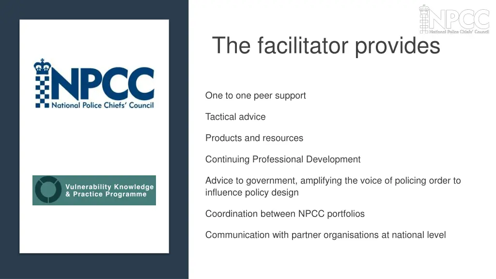 the facilitator provides