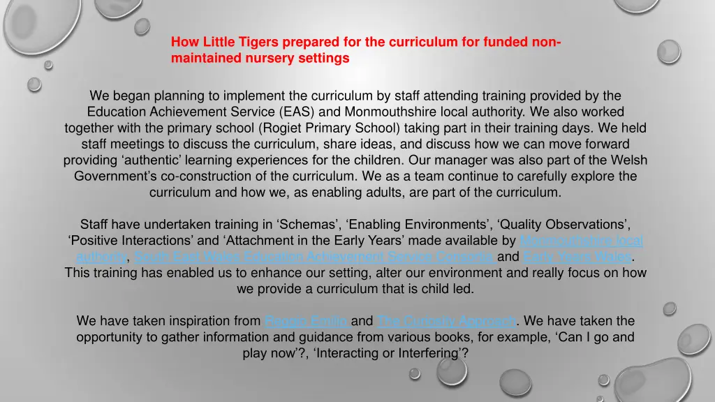 how little tigers prepared for the curriculum