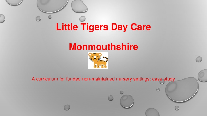 little tigers day care