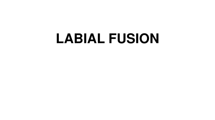 labial fusion