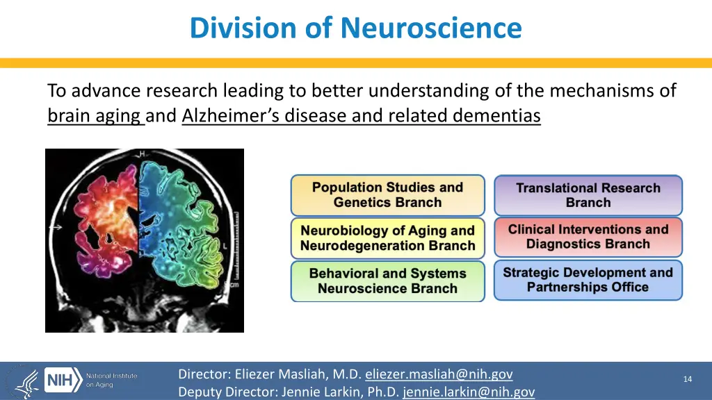 division of neuroscience