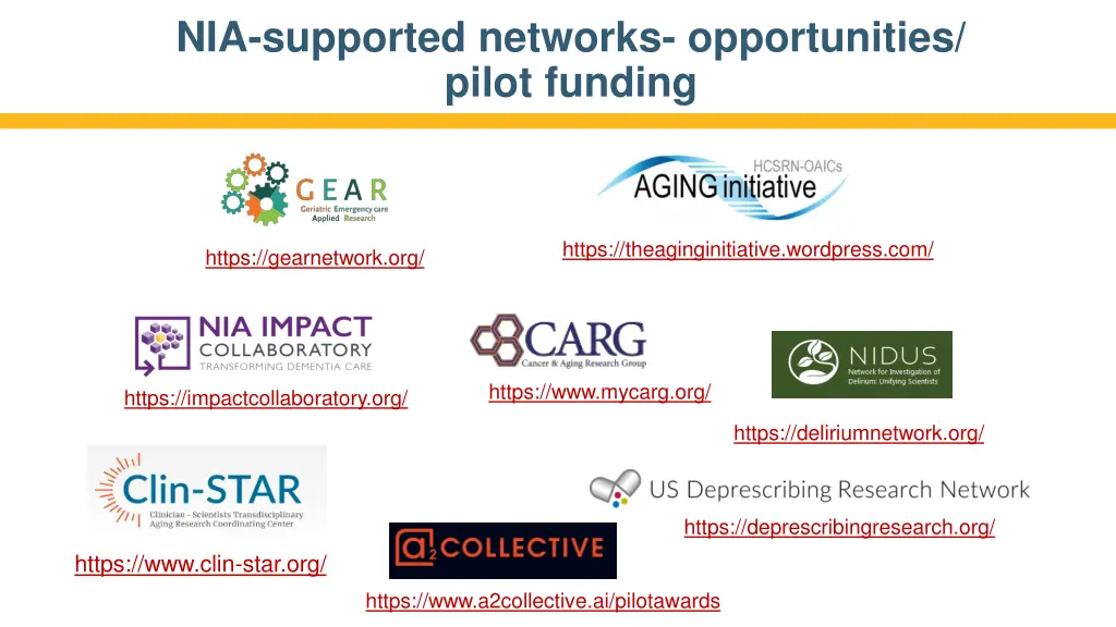 nia supported networks opportunities pilot funding