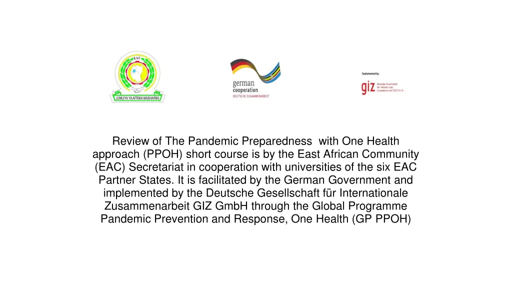 review of the pandemic preparedness with