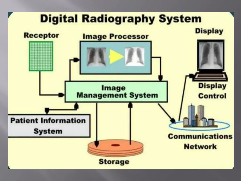 slide13