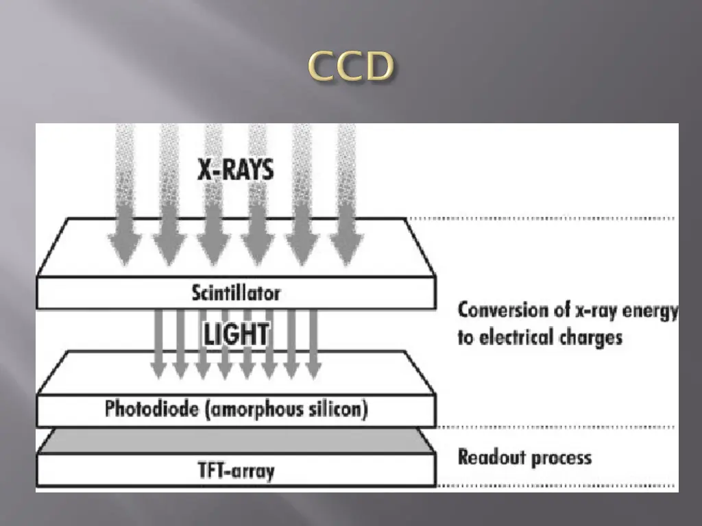 slide23