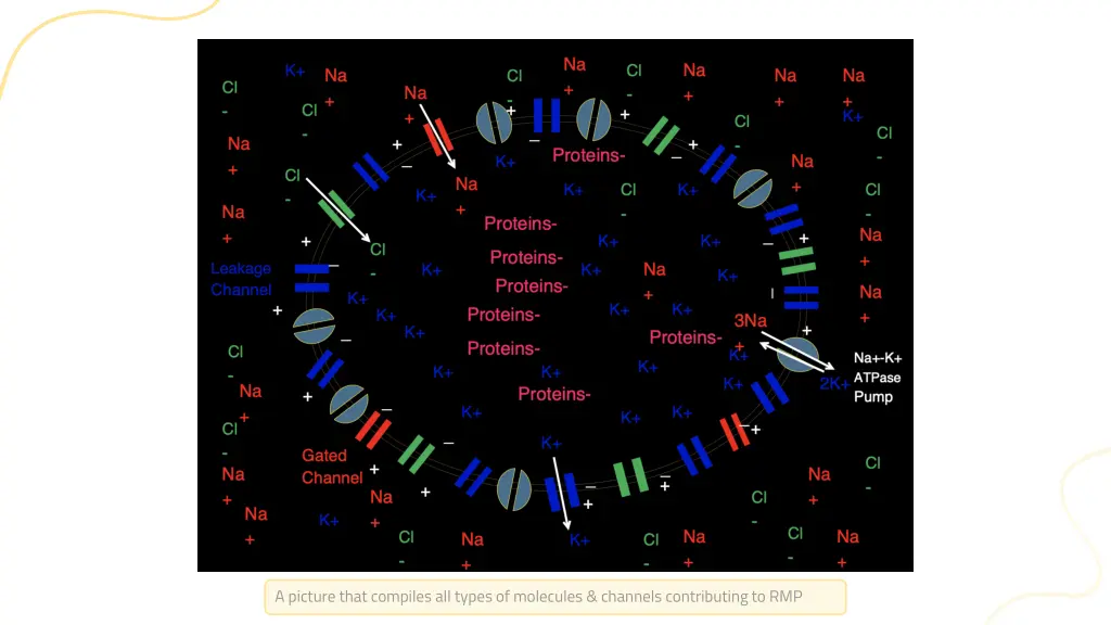 a picture that compiles all types of molecules