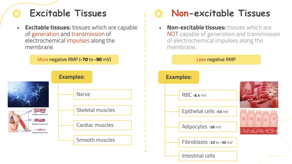 non excitable tissues