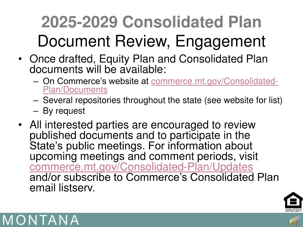 2025 2029 consolidated plan document review