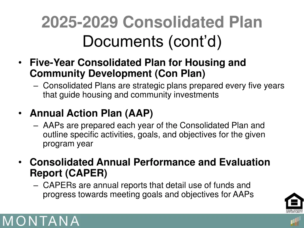 2025 2029 consolidated plan documents cont d