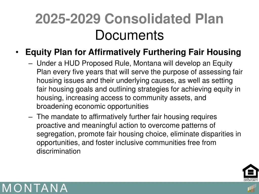 2025 2029 consolidated plan documents equity plan