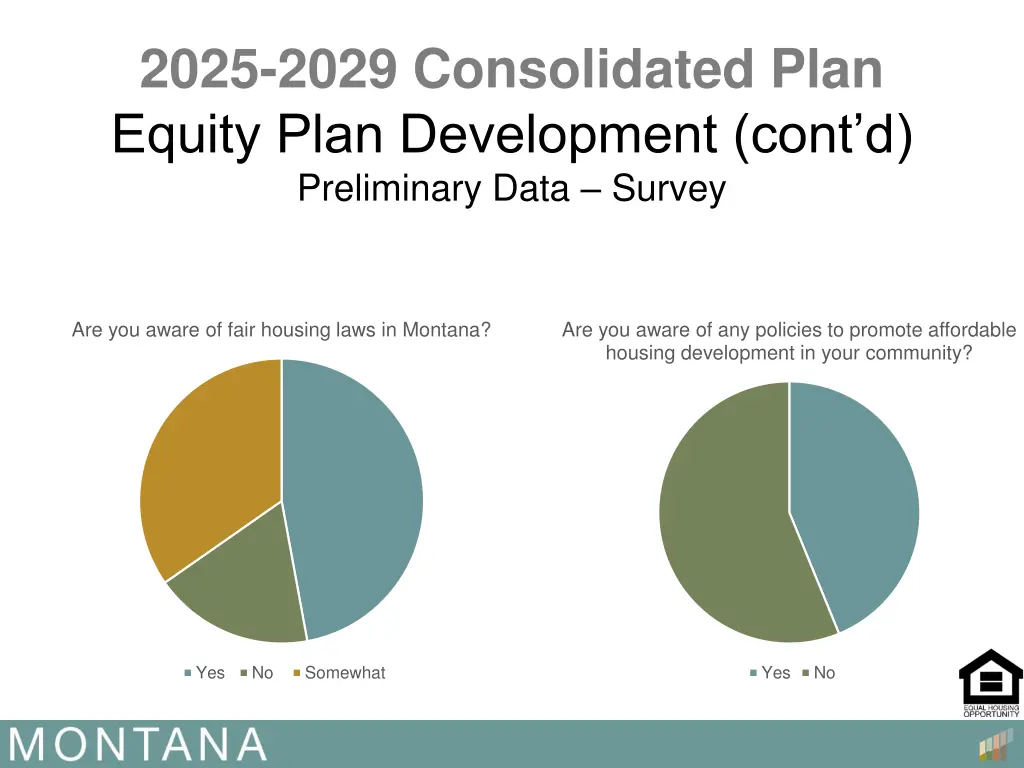 2025 2029 consolidated plan equity plan 10