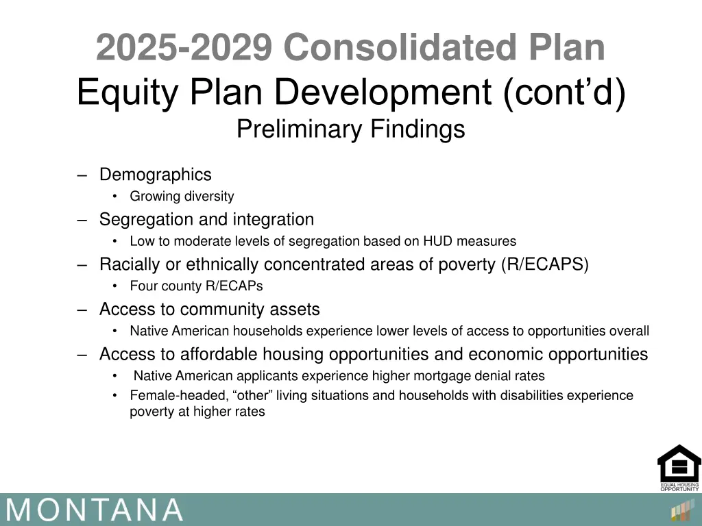 2025 2029 consolidated plan equity plan 11