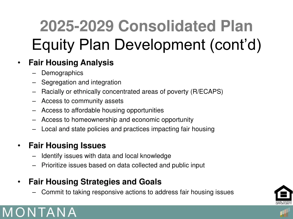 2025 2029 consolidated plan equity plan 2