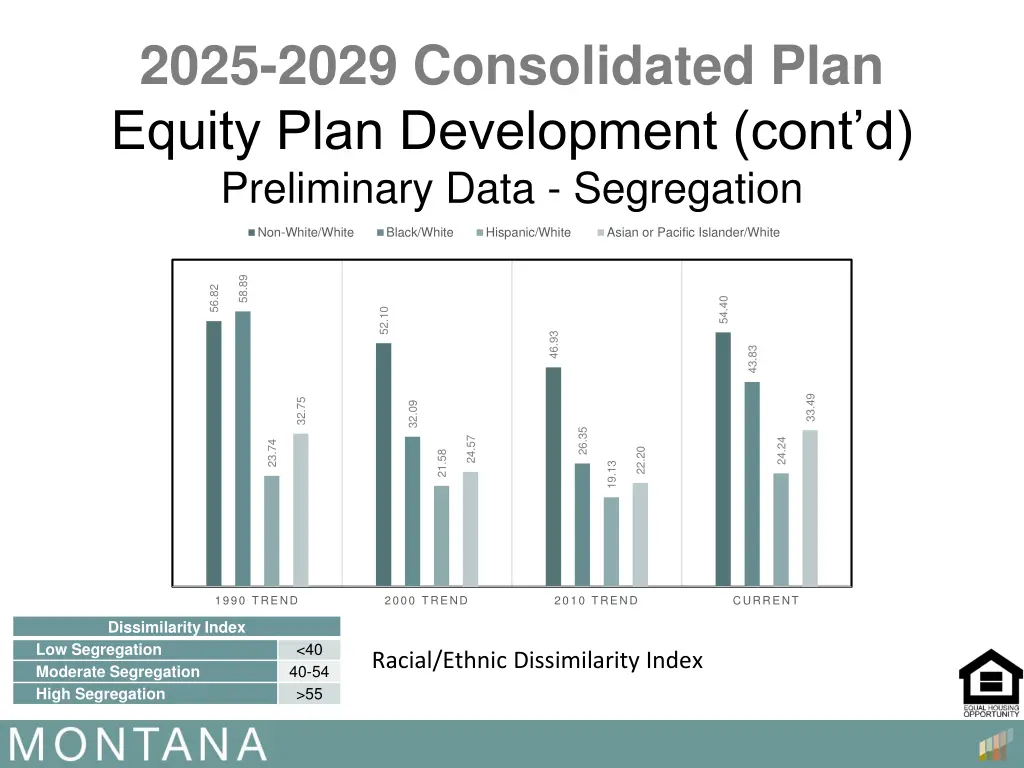 2025 2029 consolidated plan equity plan 4