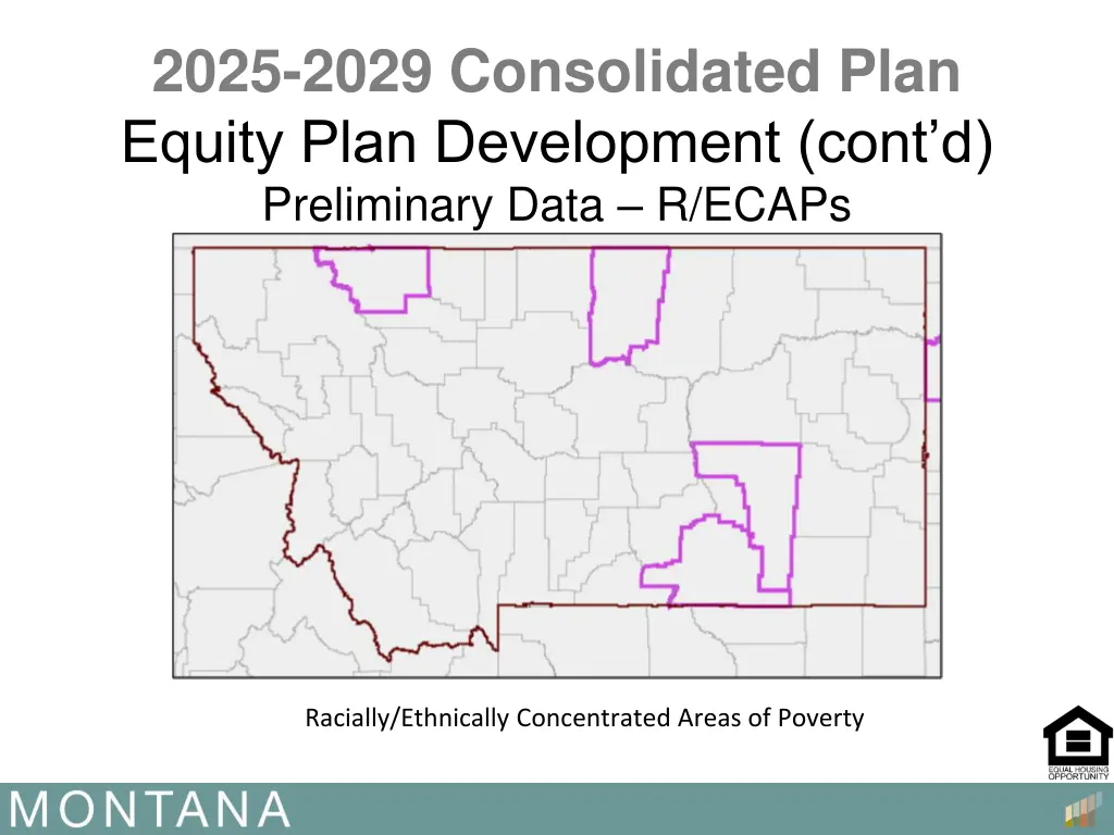 2025 2029 consolidated plan equity plan 5