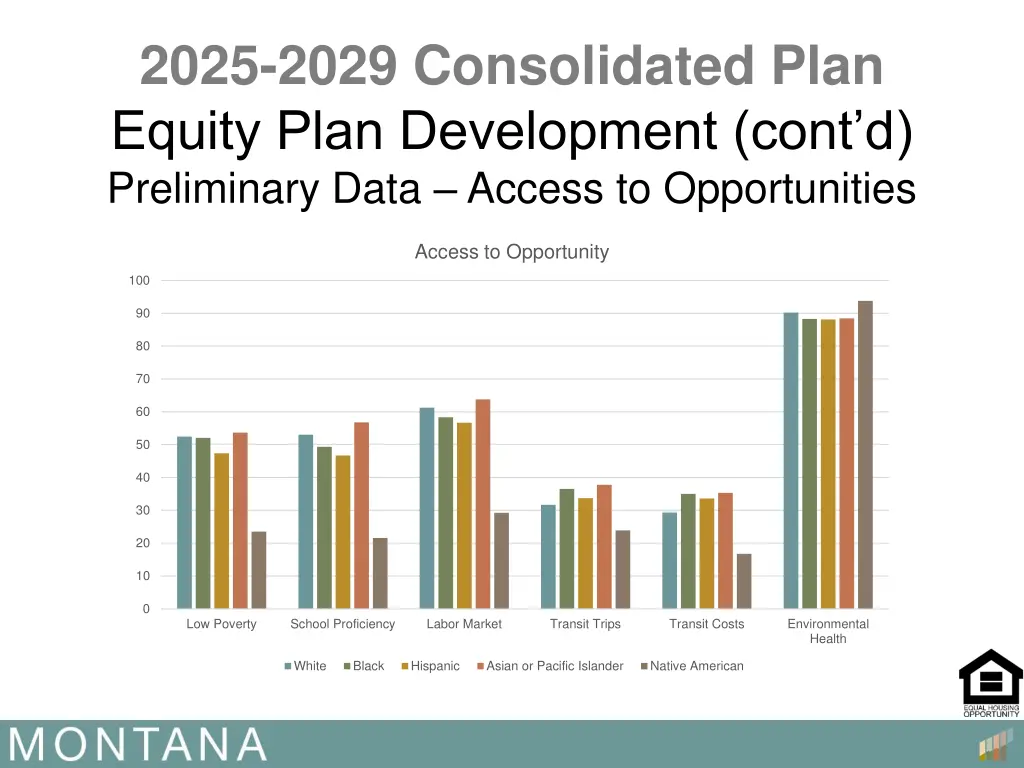 2025 2029 consolidated plan equity plan 6