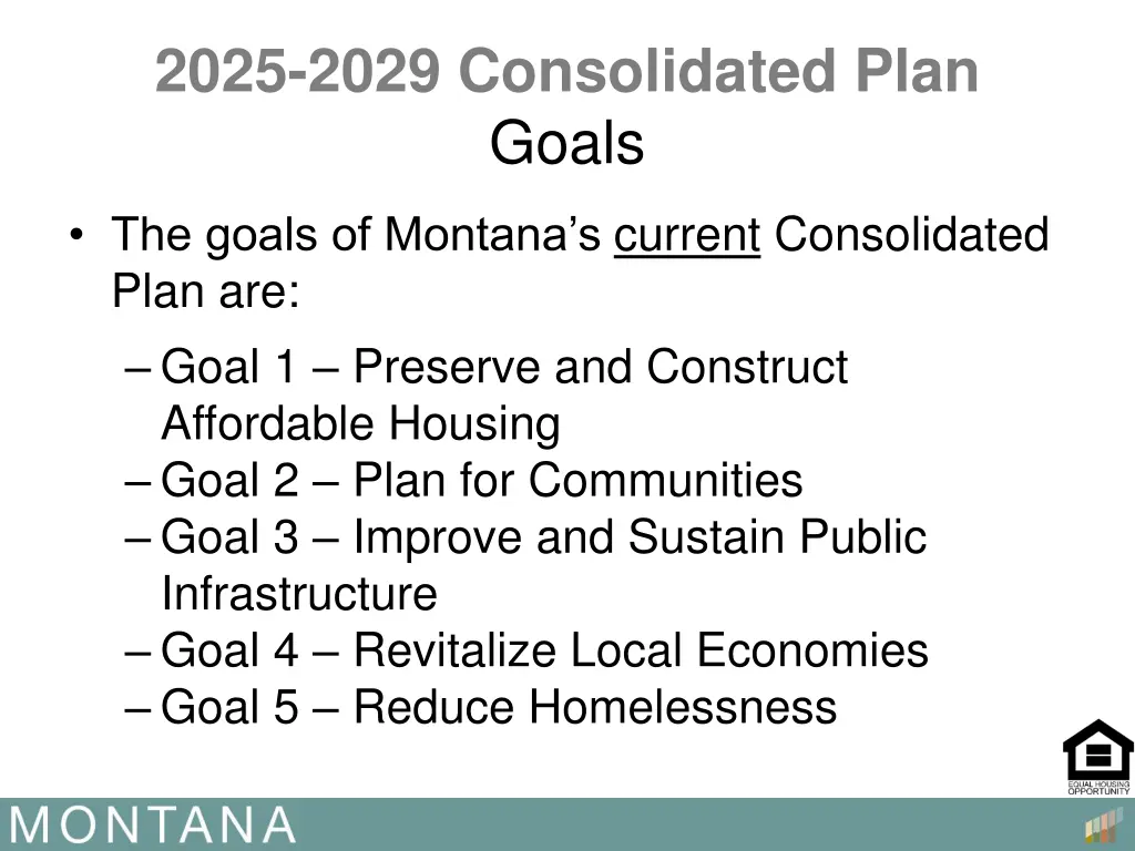 2025 2029 consolidated plan goals