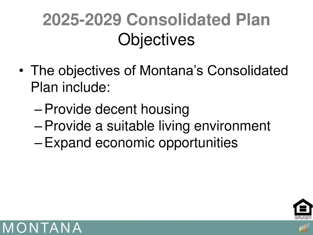 2025 2029 consolidated plan objectives