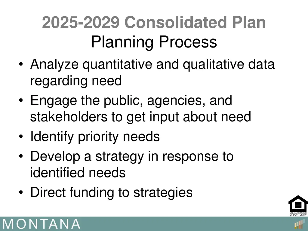 2025 2029 consolidated plan planning process