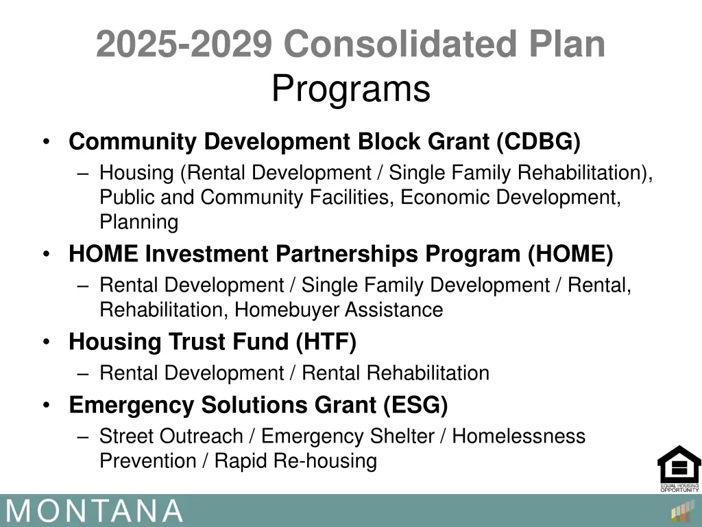 2025 2029 consolidated plan programs