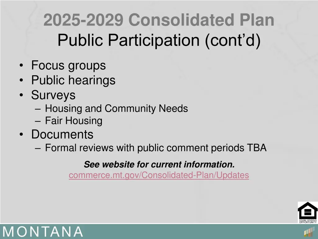 2025 2029 consolidated plan public participation 1