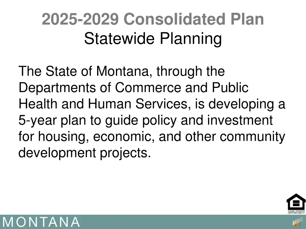 2025 2029 consolidated plan statewide planning