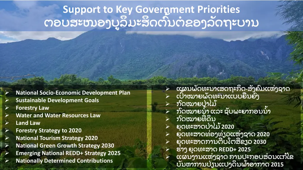support to key government priorities