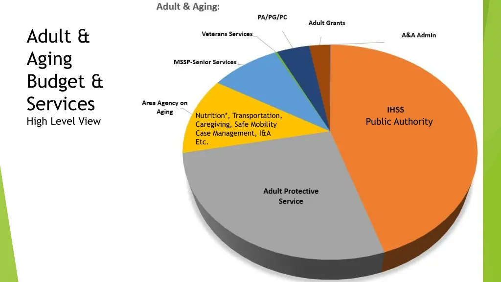 adult aging budget services high level view