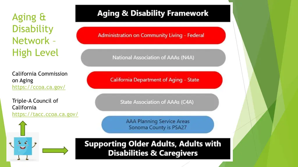aging disability network high level