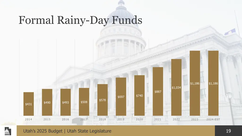 formal rainy day funds