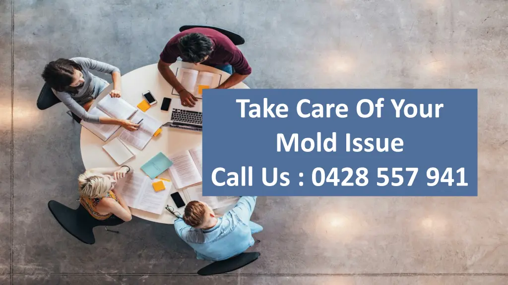 take care of your mold issue call us 0428 557 941