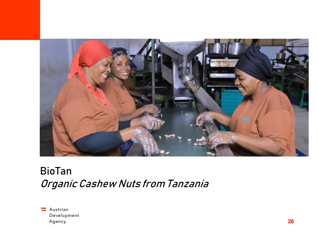 biotan organic cashew nuts from tanzania