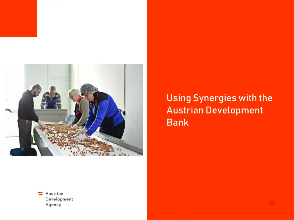 using synergies with the austrian development bank