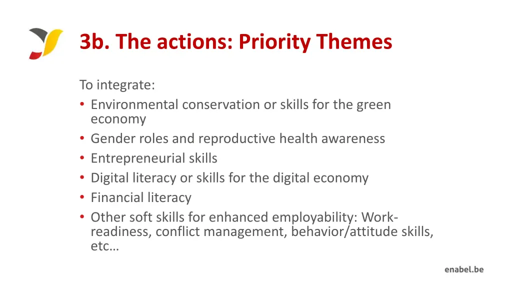 3b the actions priority themes