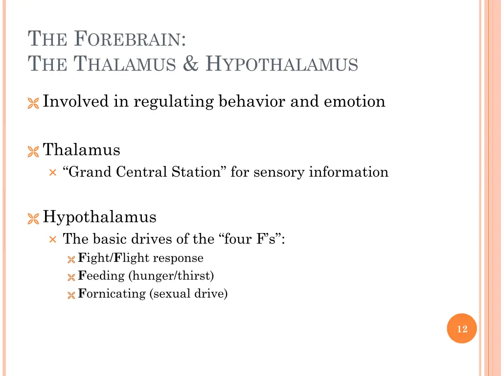 t he f orebrain t he t halamus h ypothalamus