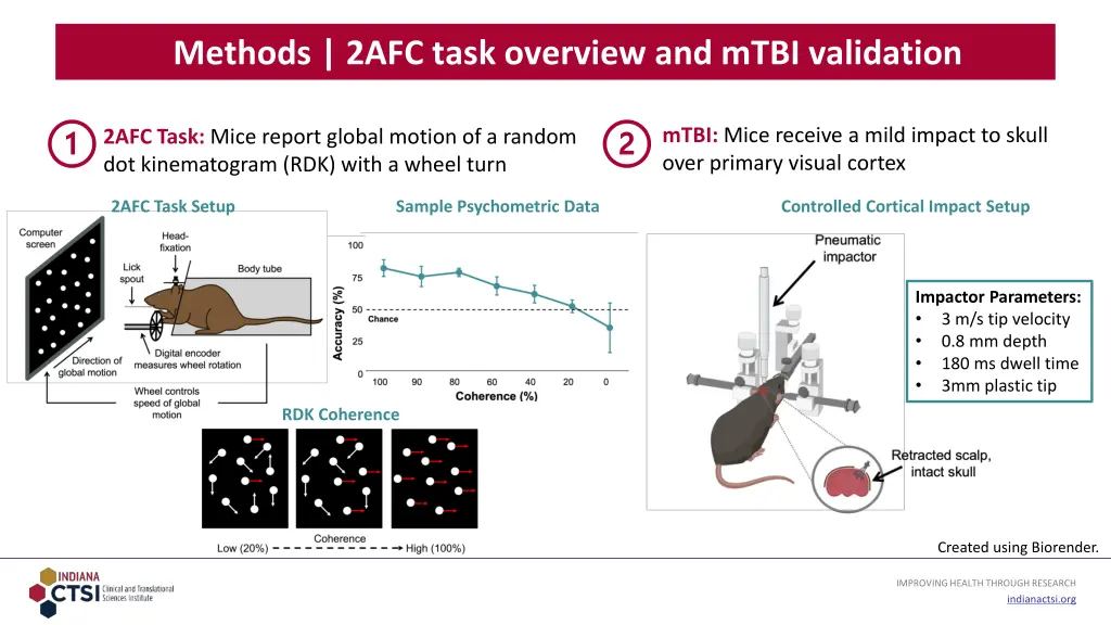 methods 2afc task overview and mtbi validation