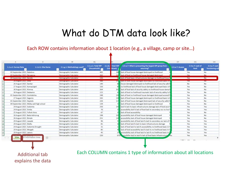 what do dtm data look like