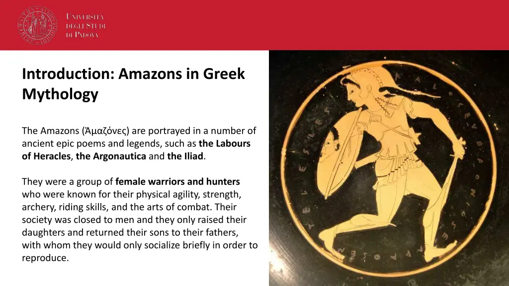 introduction amazons in greek mythology