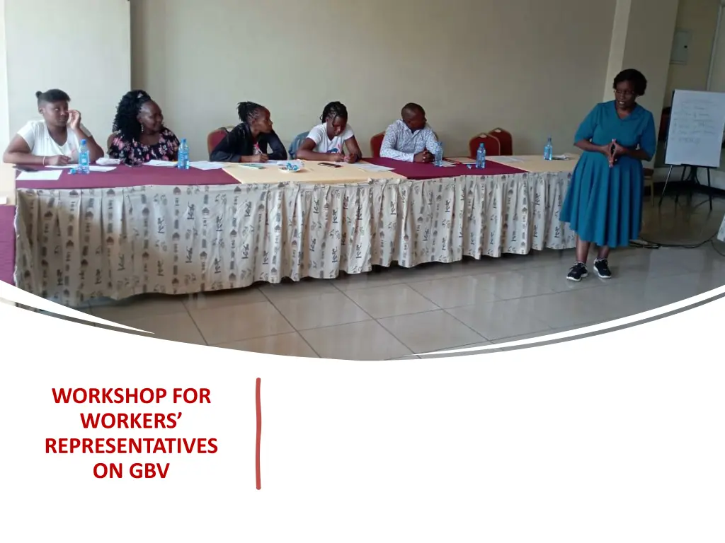 workshop for workers representatives on gbv