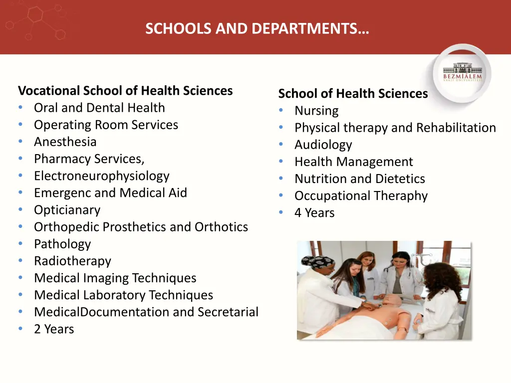 schools and departments 1