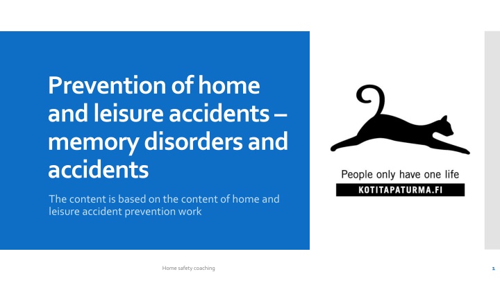 prevention of home and leisure accidents memory