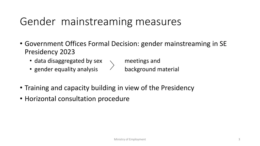 gender mainstreaming measures