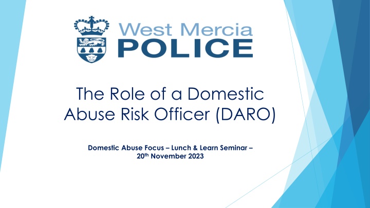 the role of a domestic abuse risk officer daro