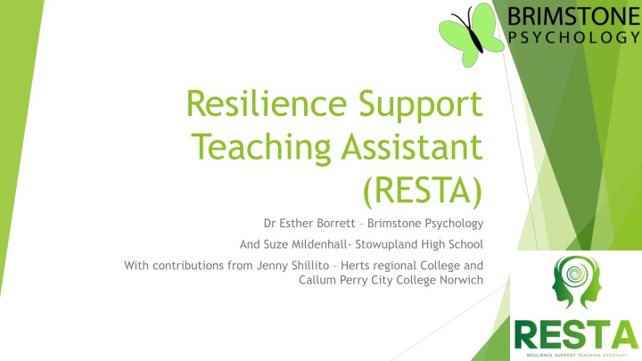 resilience support teaching assistant