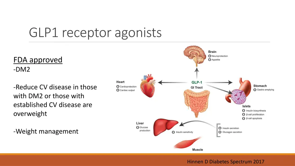 glp1 receptor agonists